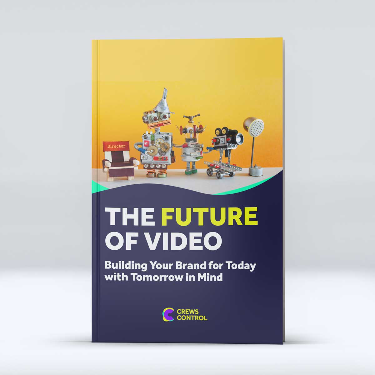 the future of video free ebook